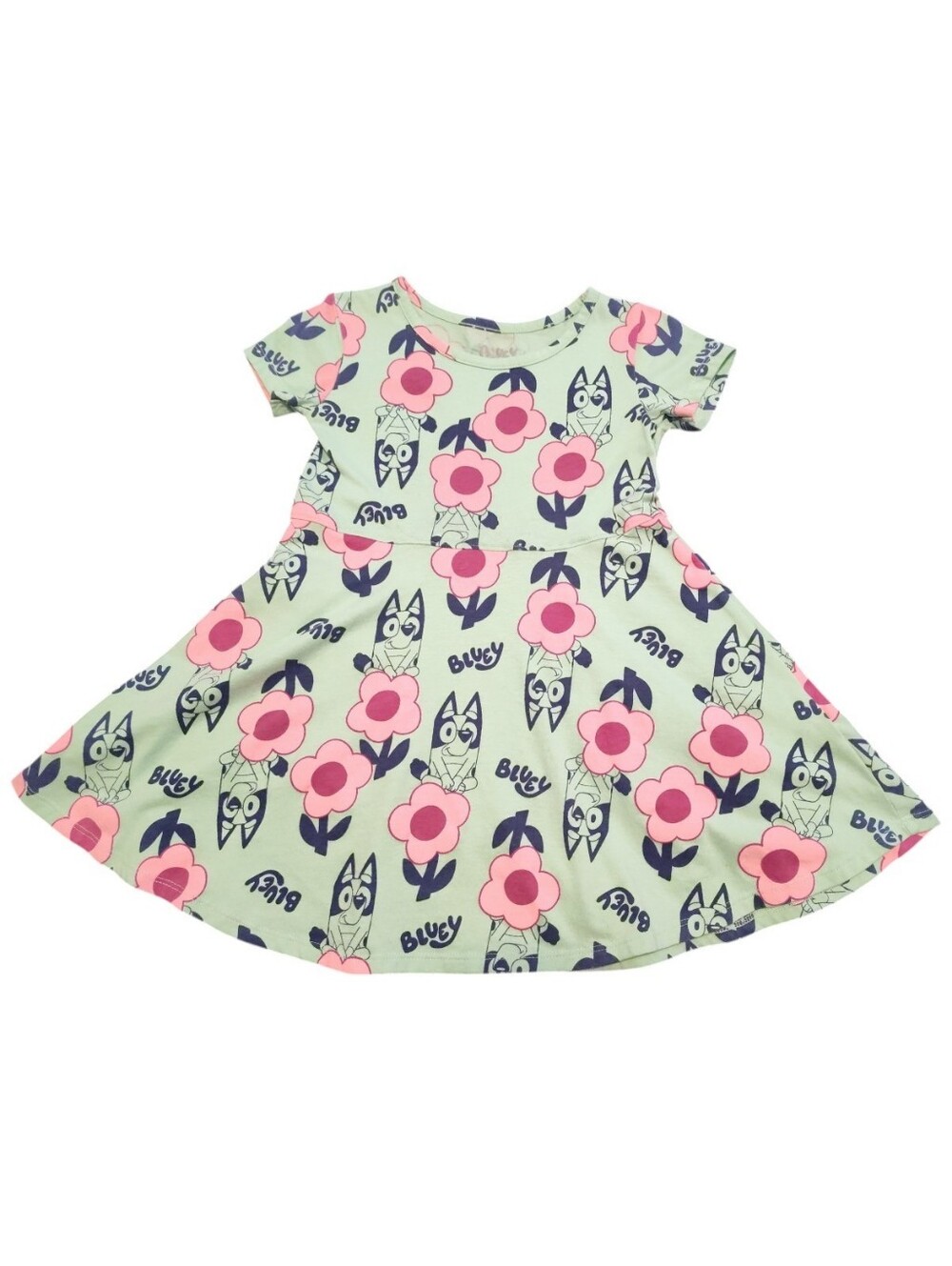 Bluey Toddler Girls Dress Size 4T Floral Green Pink Short Sleeve Skater Dress